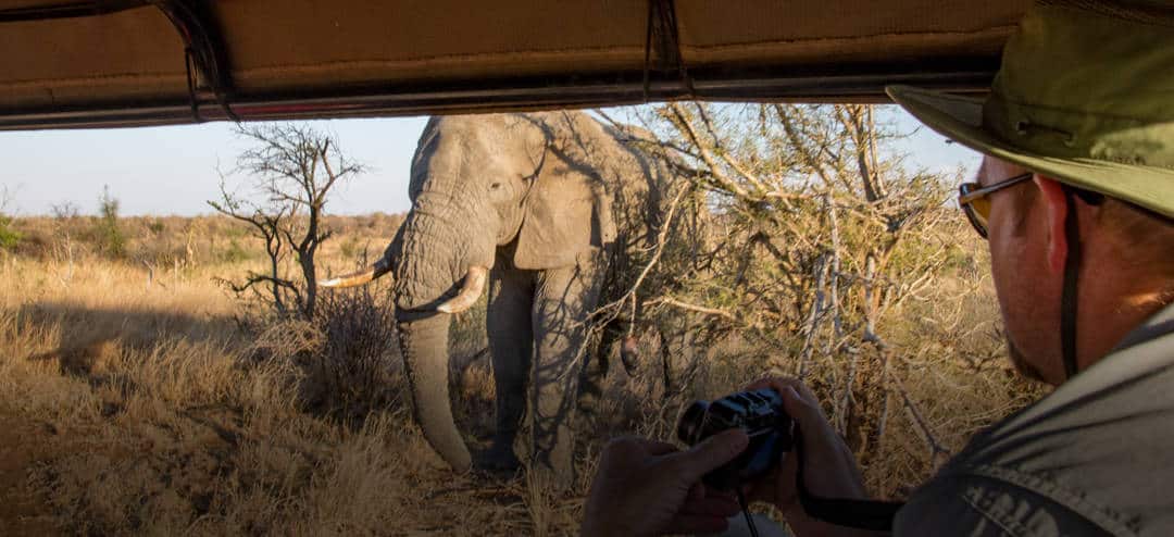 Taking Photos on Safari — Part 1