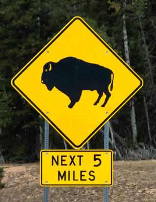 Buffalo Crossing sign